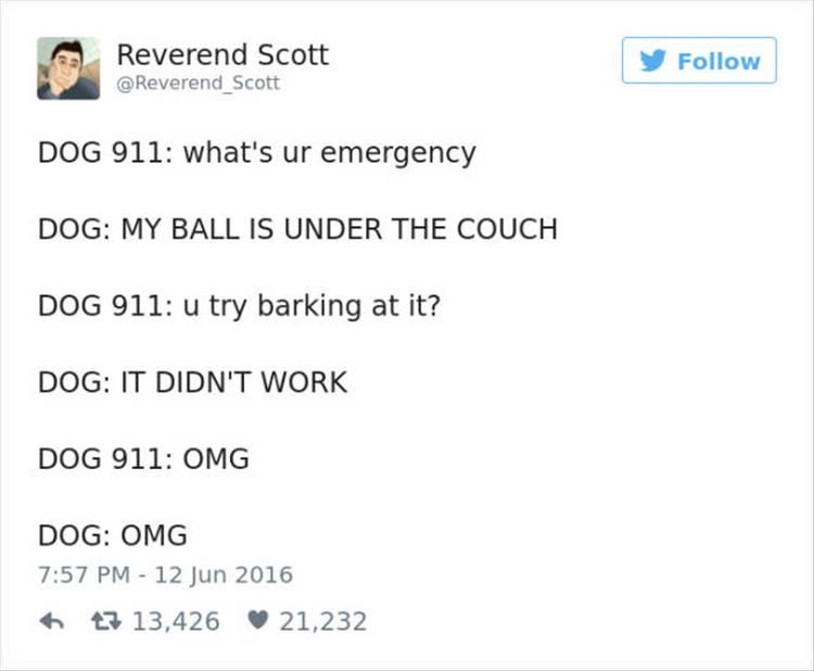 The Funniest Twitter Quotes About Dogs