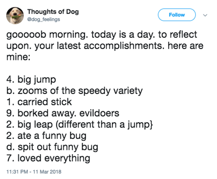 Thoughts Of Dog Is One Of The Funniest Twitter Pages Ever