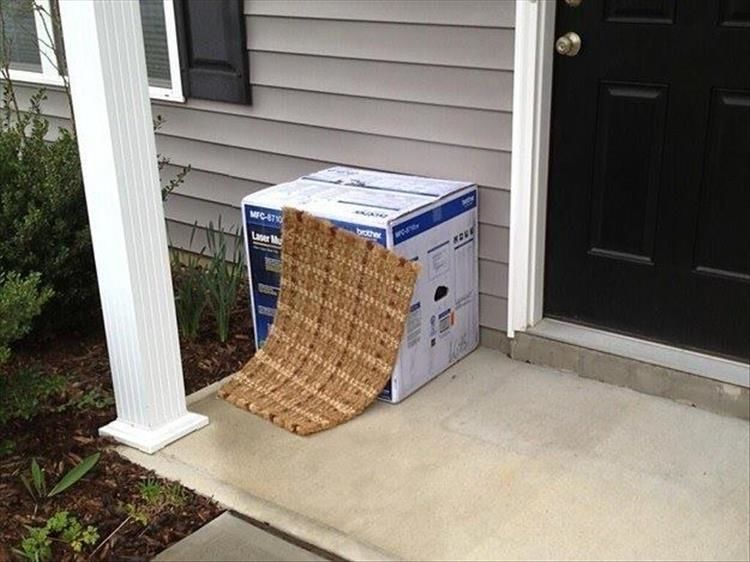 The UPS/FedEx Drivers Are True Masters Of Urban Camouflage 18 Pics