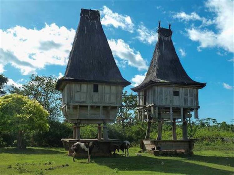 Some Of The Most Unusual Homes You’ll See All Day 22 Pics