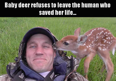 Faith In Humanity Restored - 22 Images