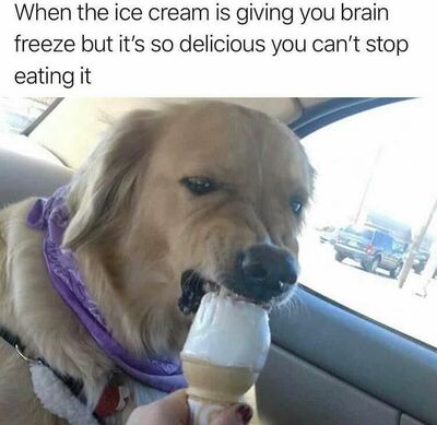 Funny Animal Pictures 21 Pics