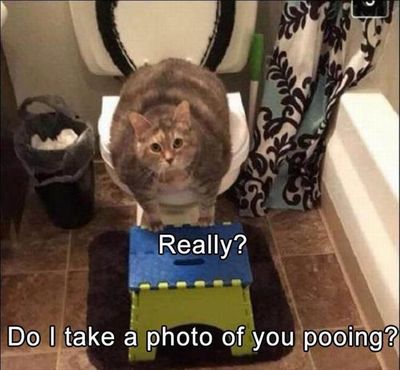 Funny Animal Pictures - 25 Images