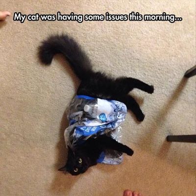 Funny Animal Pictures Of The Day - 10 Images