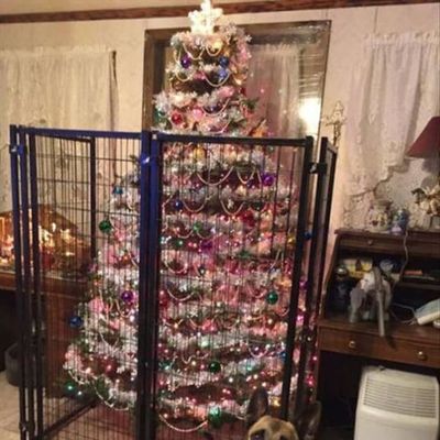 Funny Ways To “Pet Proof” Your Christmas Tree 21 Pics