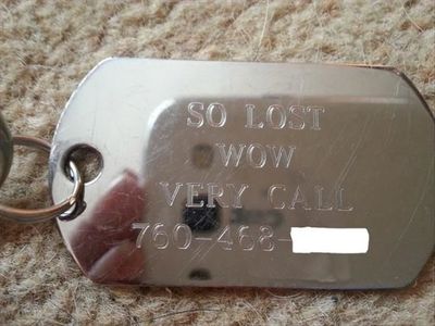 The Funniest Pet Tags You’ll See All Day 18 Pics