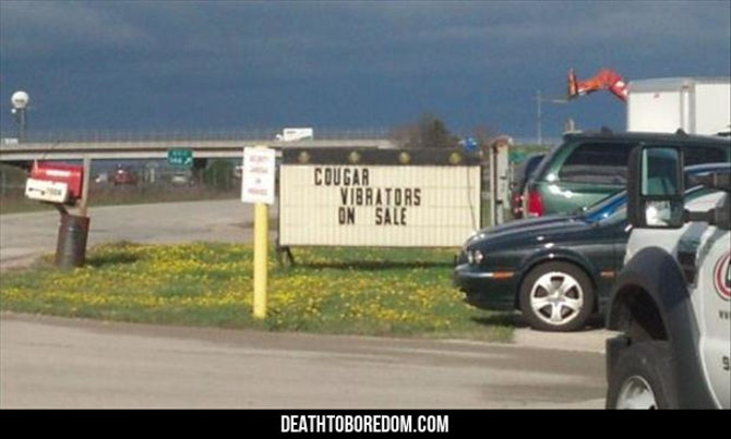 Top 25 Funny Signs- 25 images